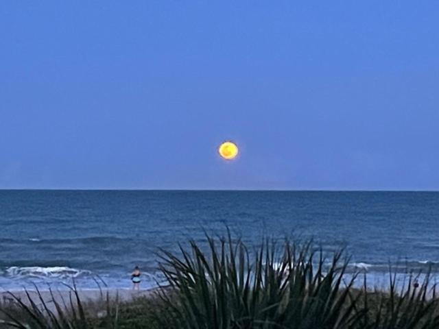 The Marlin - Cocoa Beachアパートメント エクステリア 写真